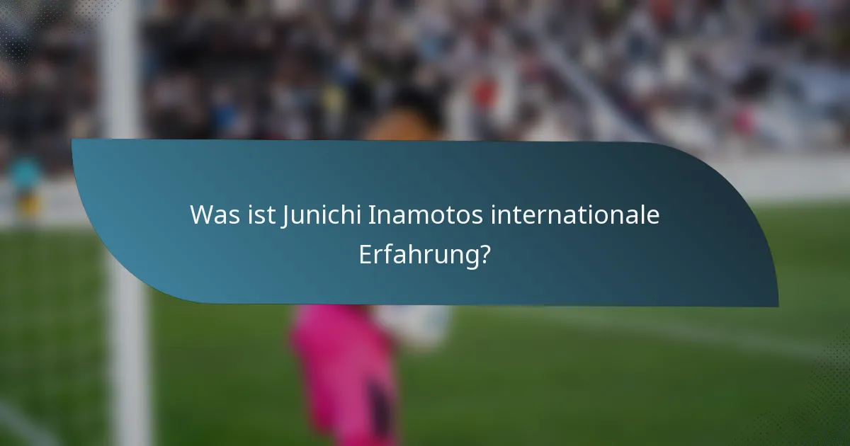 Was ist Junichi Inamotos internationale Erfahrung?