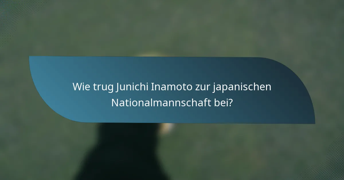 Wie trug Junichi Inamoto zur japanischen Nationalmannschaft bei?